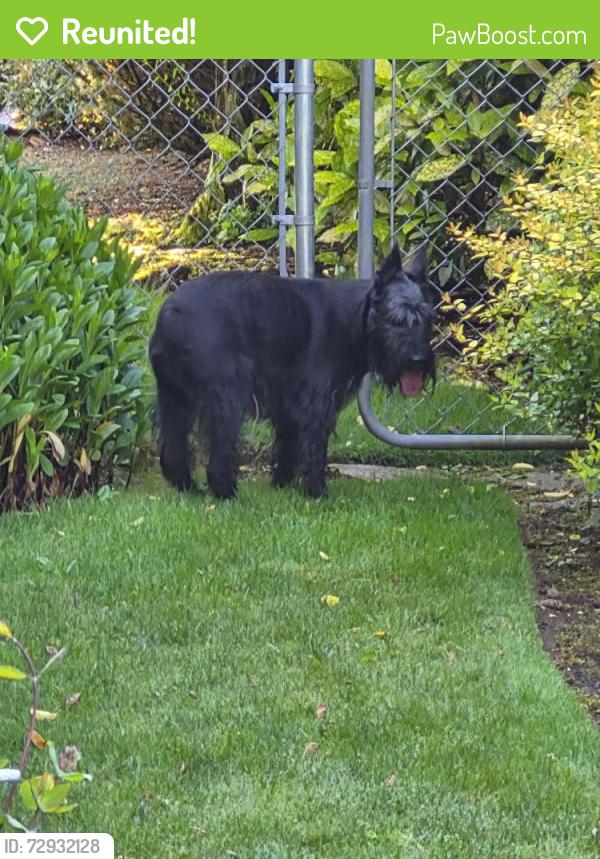 Reunited Unknown Dog last seen Anderson, near St Joe's Catholic Church , Vancouver, WA 98664