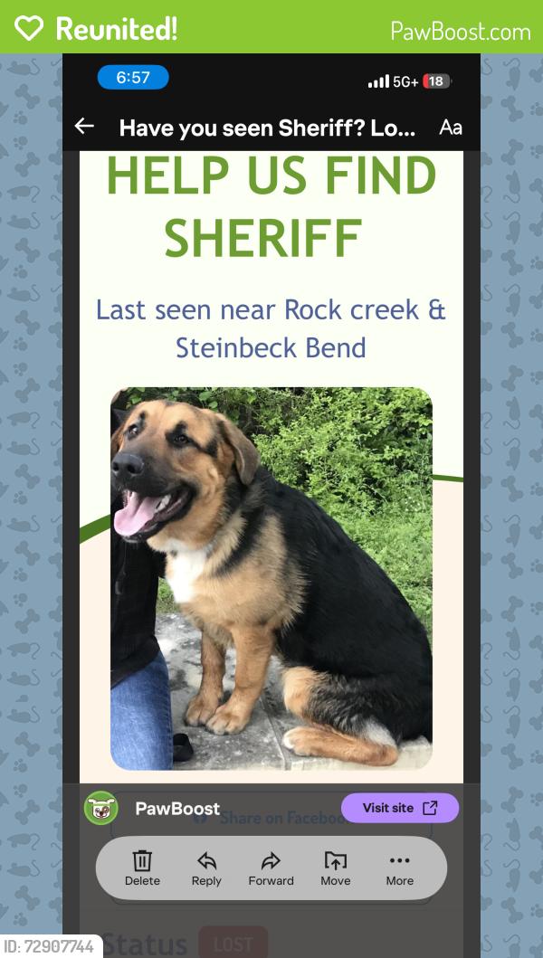 Reunited Unknown Dog last seen Behind the restaurant into the woods, Waco, TX 76708