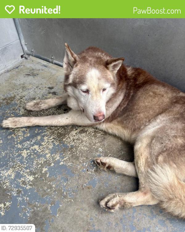 Reunited Male Dog last seen East Orange Animal Shelter , East Orange, NJ 07018