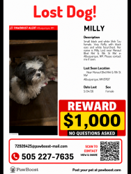 Lost Female Dog last seen 11st nw Albuquerque , Albuquerque, NM 87104