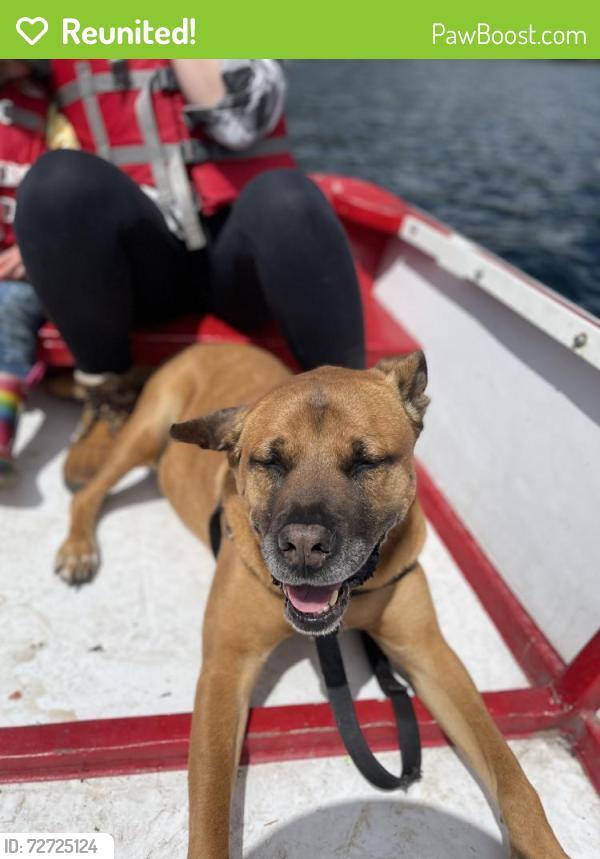 Reunited Male Dog last seen SW 51st & SW Maplewood Road, Portland, OR 97219