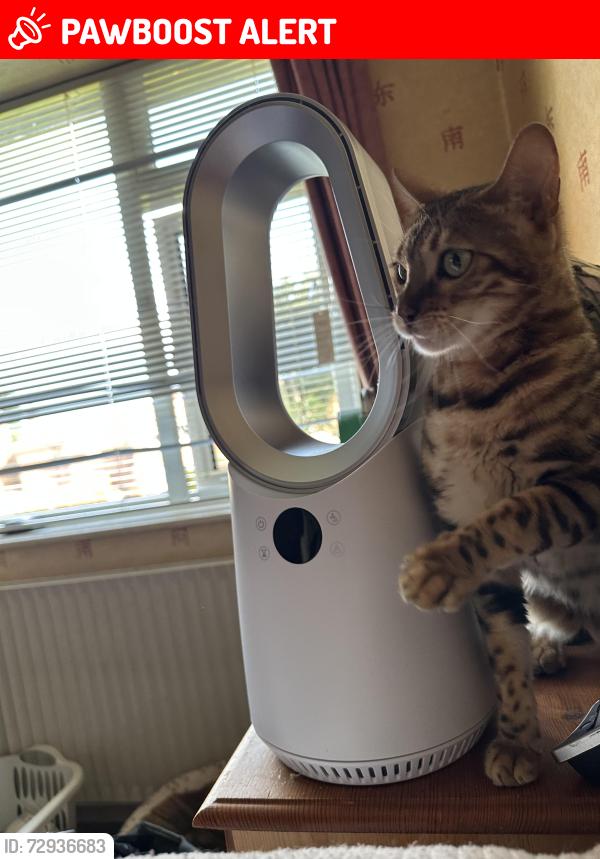 Lost Female Cat last seen Dean row road, Cheshire East, England SK9 2HE