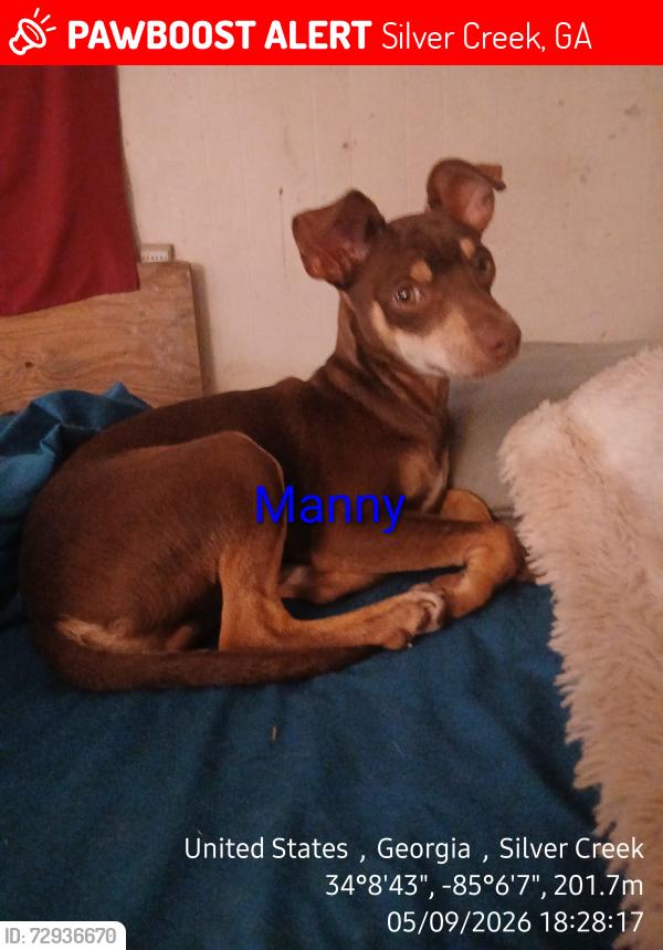 Lost Male Dog last seen Harmony Rd went toward Abrams rd., Silver Creek, GA 30173