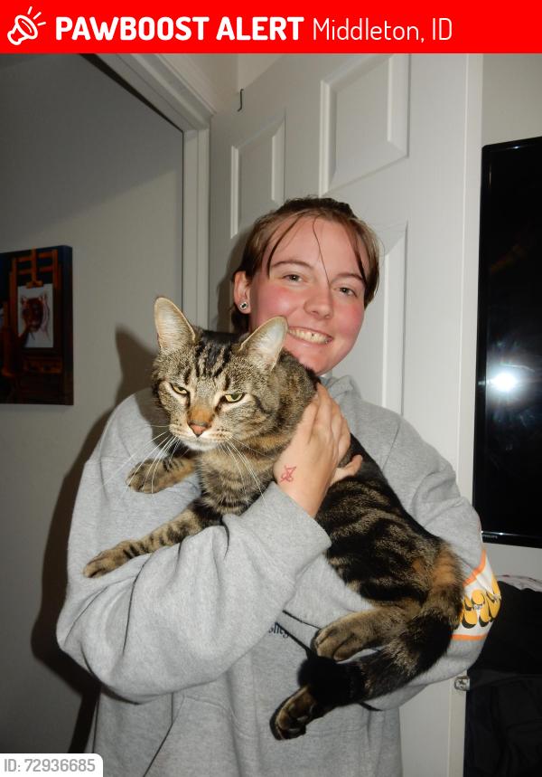 Lost Male Cat last seen Neighborhood around Middleton Mill Creek Elementary , Middleton, ID 83644