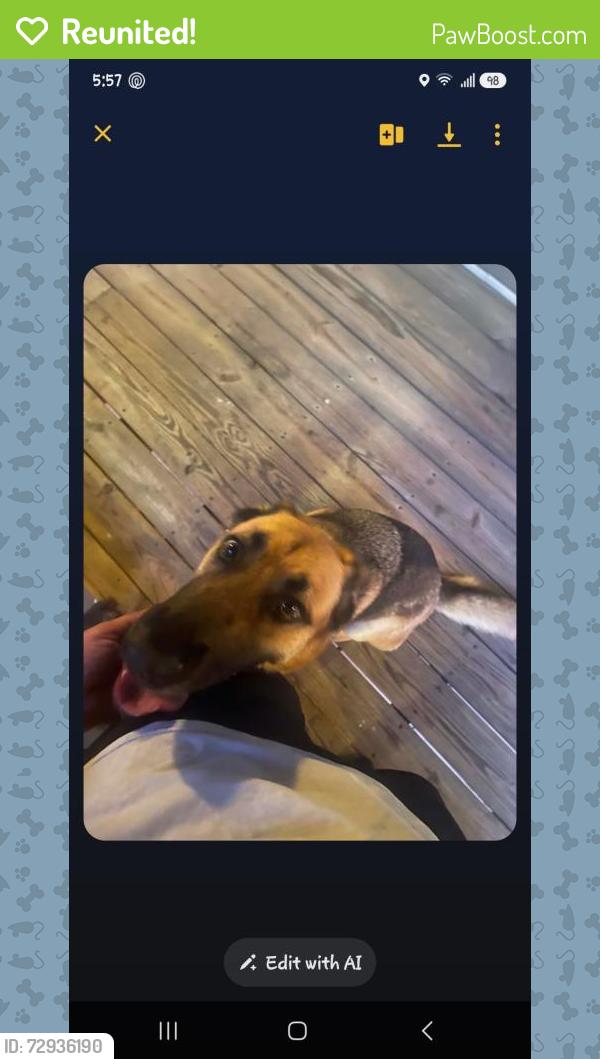 Reunited Female Dog last seen Cliffdale Rd , Fayetteville, NC 28314