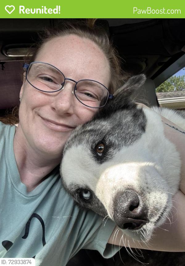 Reunited Female Dog last seen Joyland North Daycare, Clermont, Ga, Hall County, GA 30527