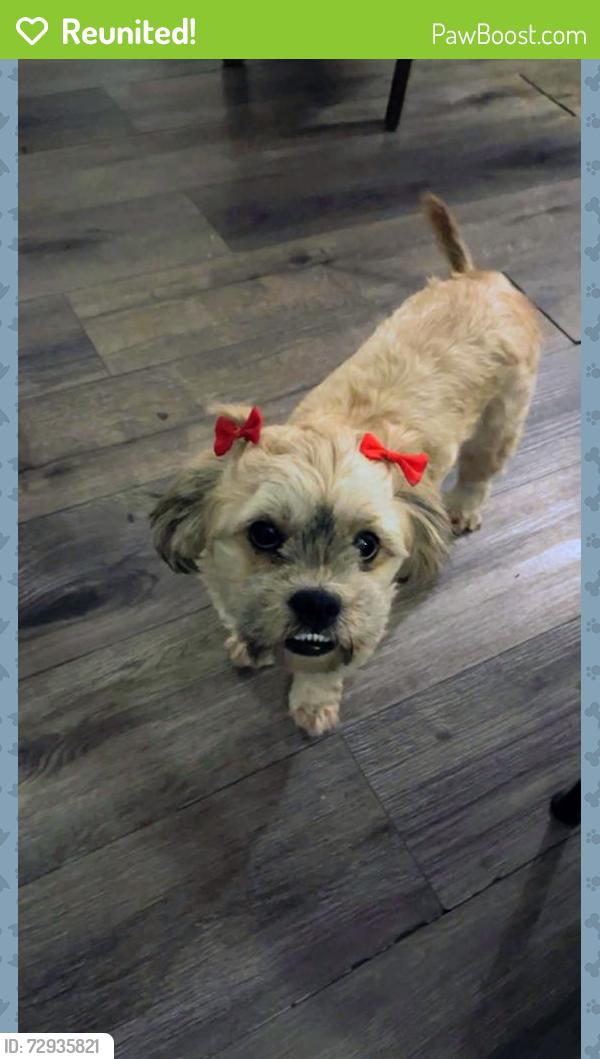 Reunited Female Dog last seen 47th Avenue , Sacramento, CA 95824