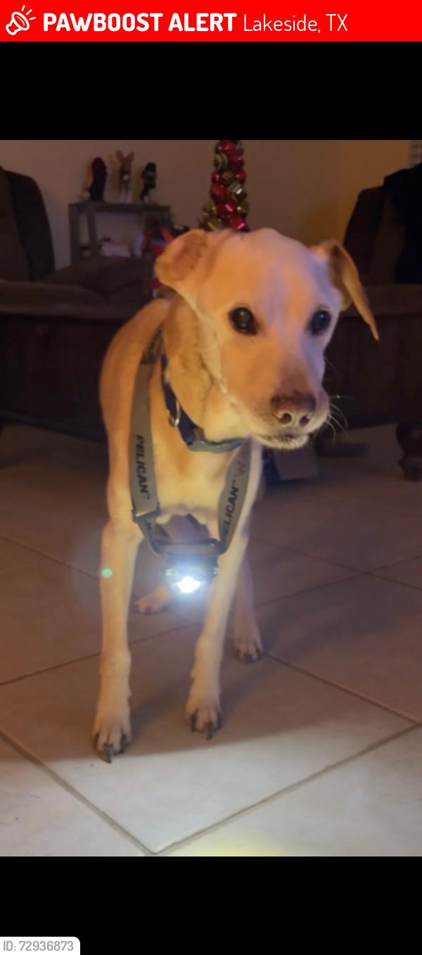 Lost Male Dog last seen Confederate Road, Lakeside, TX 76135