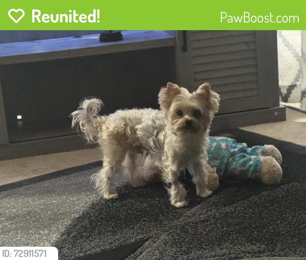 Reunited Male Dog last seen 67th Ave E in Fife, Fife, WA 98424