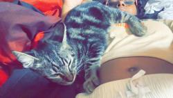 Lost Female Cat last seen Longview, Longview, TX 75602