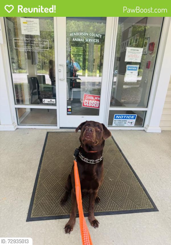 Reunited Male Dog last seen Blue Ridge Fire Department , East Flat Rock, NC 28726