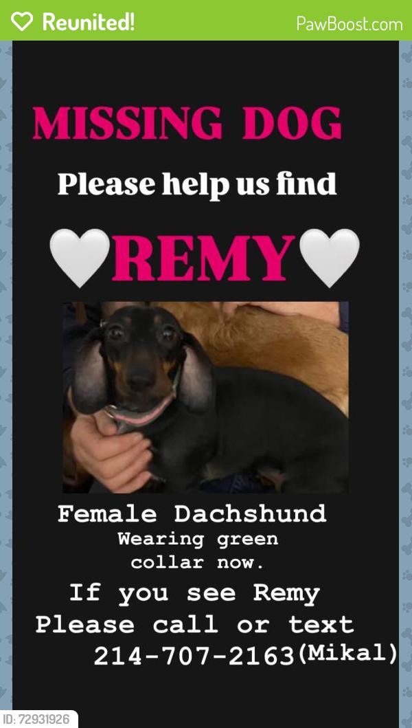 Reunited Female Dog last seen County Road 2647 /Veranda Blvd., Royse City, TX 75189