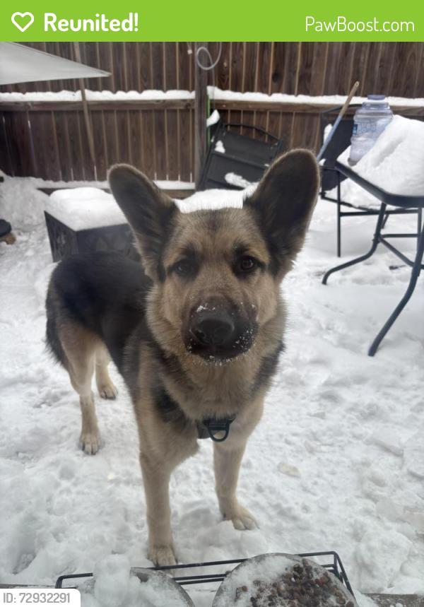 Reunited Female Dog last seen Nw 16th Purdue , Oklahoma City, OK 73127
