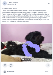 Reunited Male Dog last seen S. Hillcrest Dr. and Pinkham, Visalia, CA 93277