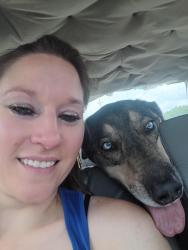 Reunited Female Dog last seen Summer and White Station , Memphis, TN 38103