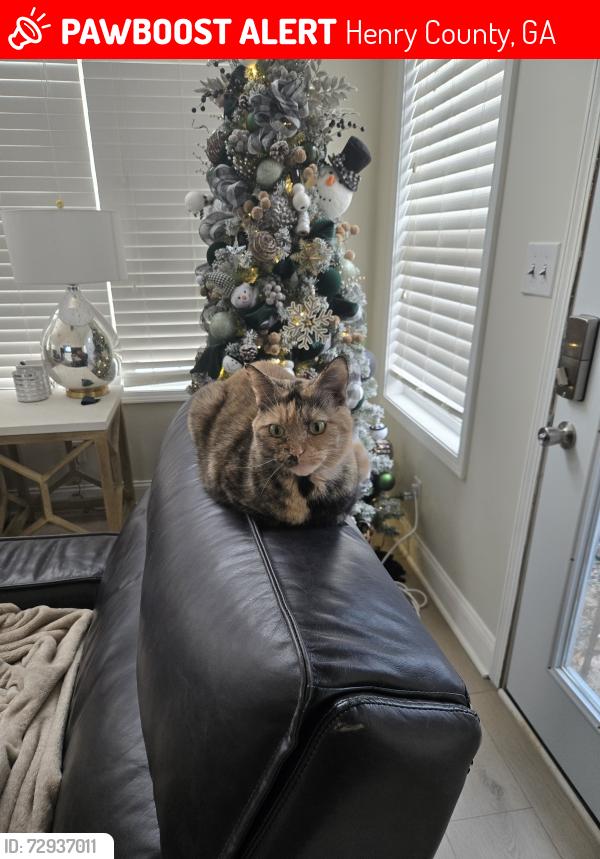 Lost Female Cat last seen Gardner Road, Henry County, GA 30281
