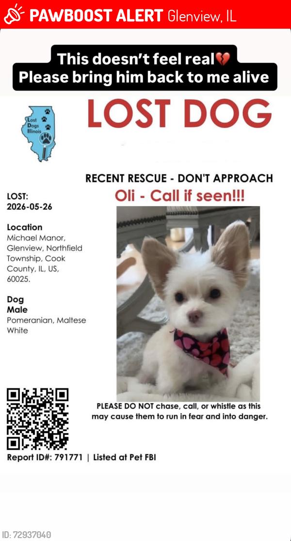 Lost Male Dog last seen Michael Manor, Glenview, Glenview, IL 60025