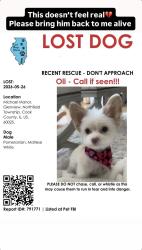 Lost Male Dog last seen Michael Manor, Glenview, Glenview, IL 60025