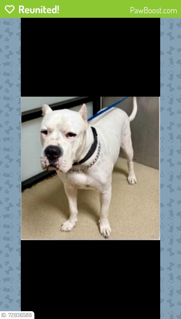 Reunited Male Dog last seen Sandage ave and seminary dr, Fort Worth, TX 76115