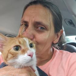 Reunited Male Cat last seen Ledger and La Bamba, Haslet, TX 76052