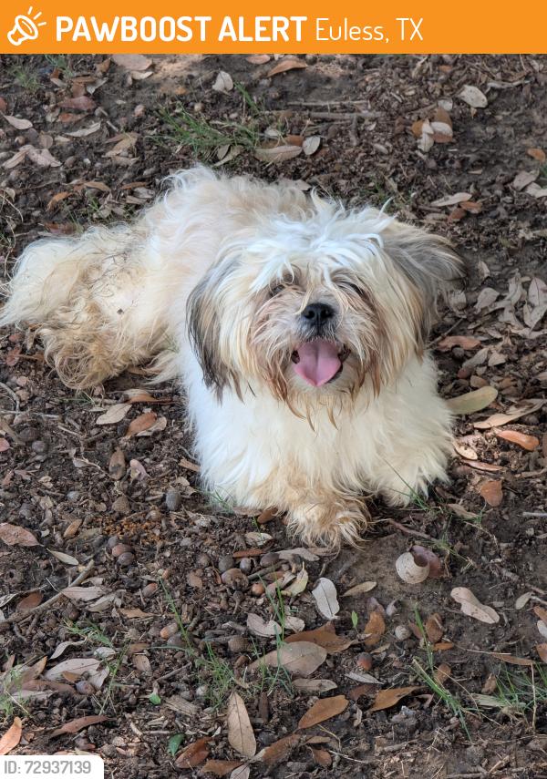 Found/Stray Unknown Dog last seen maa bear creek apmts , Euless, TX 76039