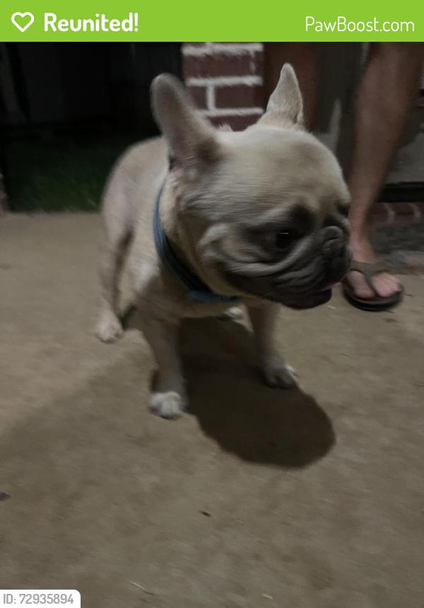 Reunited Male Dog last seen Cherryhill dr , Tyler, TX 75703