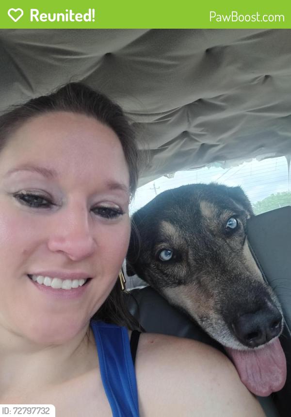Reunited Female Dog last seen Summer and White Station , Memphis, TN 38103
