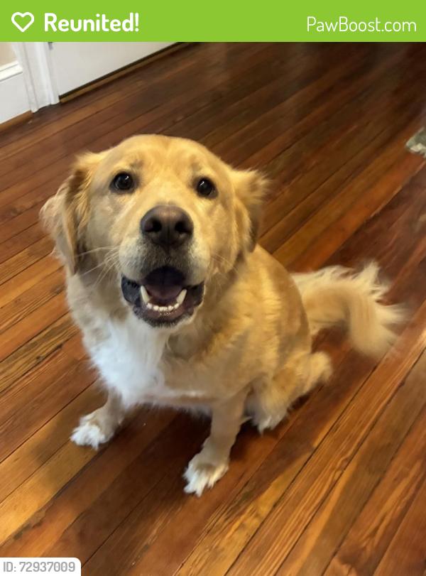Reunited Male Dog last seen Near pleasant hill rd.  Woods , Owings Mills, MD 21117