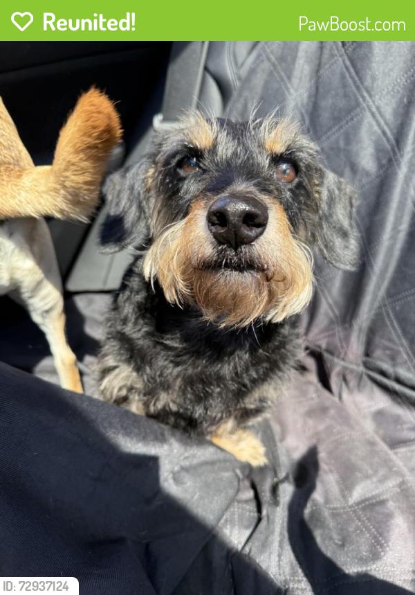 Reunited Male Dog last seen Near E Cervantes St, Pensacola, FL 32501, USA, Pensacola, FL 32501