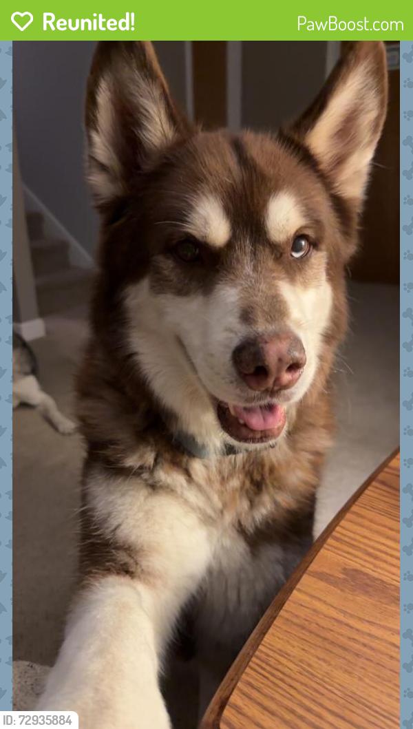 Reunited Male Dog last seen North of 29th and Urish , Topeka, KS 66614