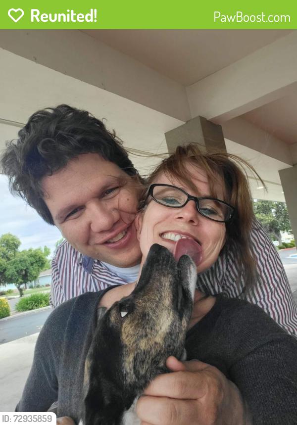 Reunited Male Dog last seen Tehachapi, CA (unknown), Tehachapi, CA 93561