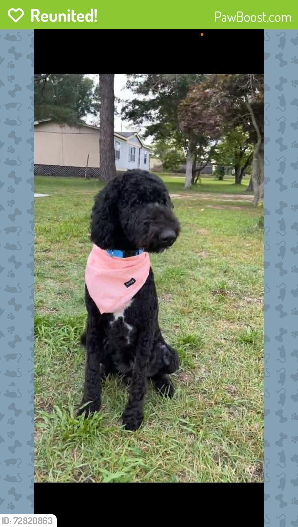 Reunited Male Dog last seen Near chick fila, Fayetteville, NC 28303