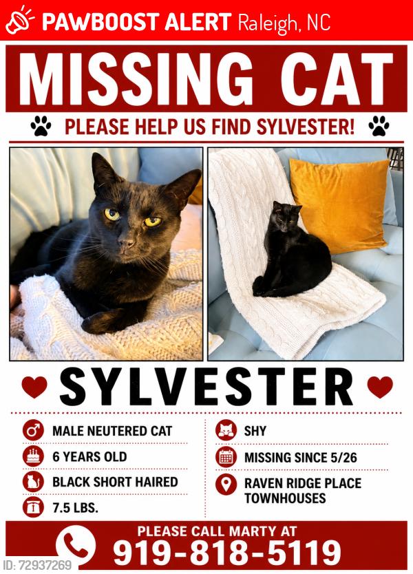 Lost Male Cat last seen Falls of Neuse and Raven Ridge, Raleigh, NC 27614