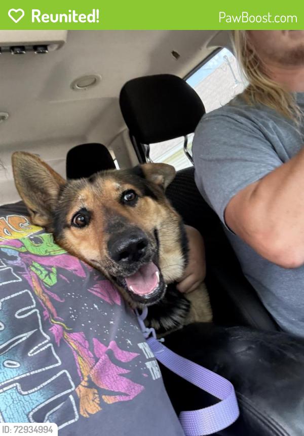 Reunited Female Dog last seen Anglin & May, Cleburne, TX 76031