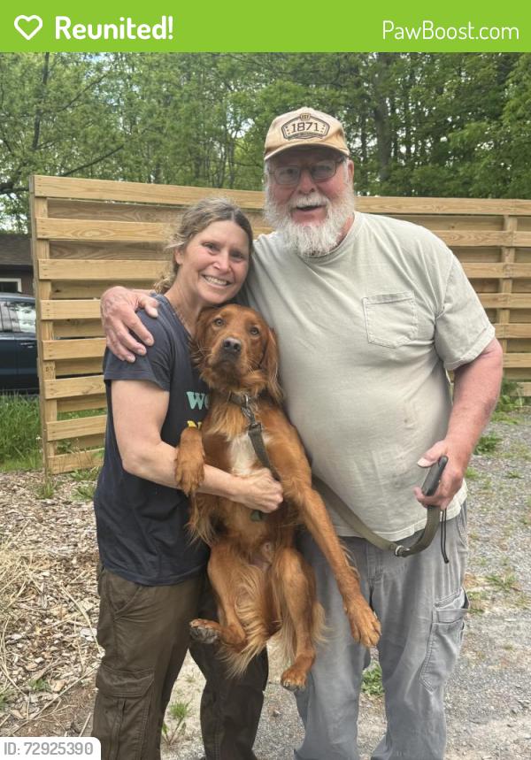 Reunited Male Dog last seen Route 5 and 173 , Chittenango, NY 13037