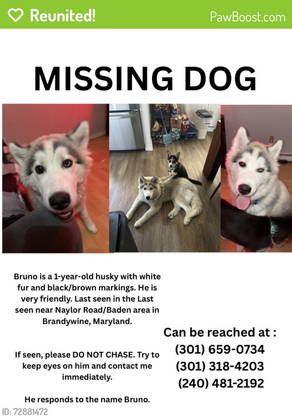 Reunited Male Dog last seen Baden naylor rd, Brandywine, MD 20613