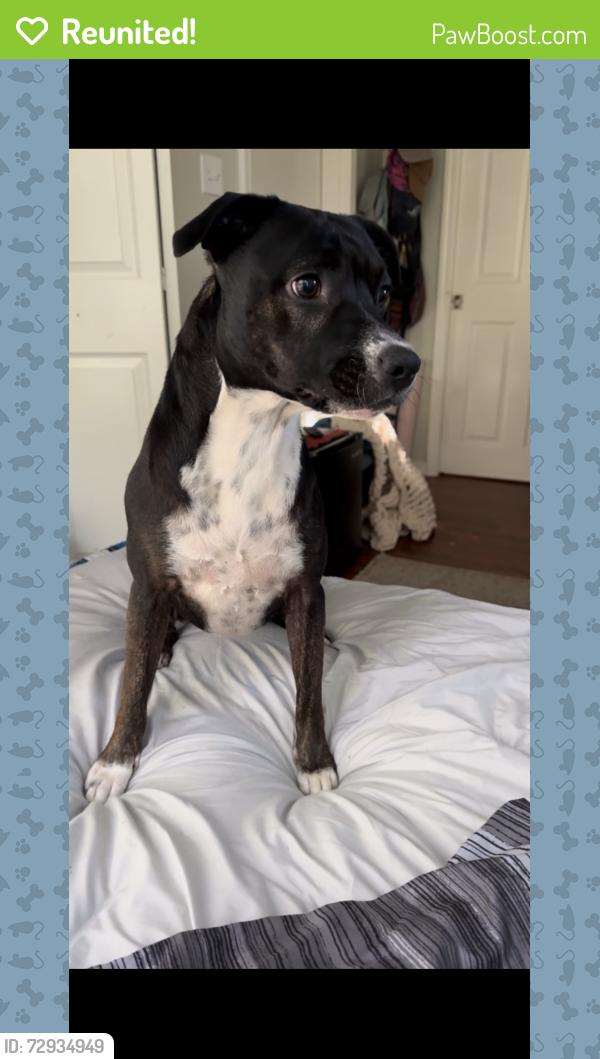 Reunited Female Dog last seen Bentley plastics, Perry County, AR 72126