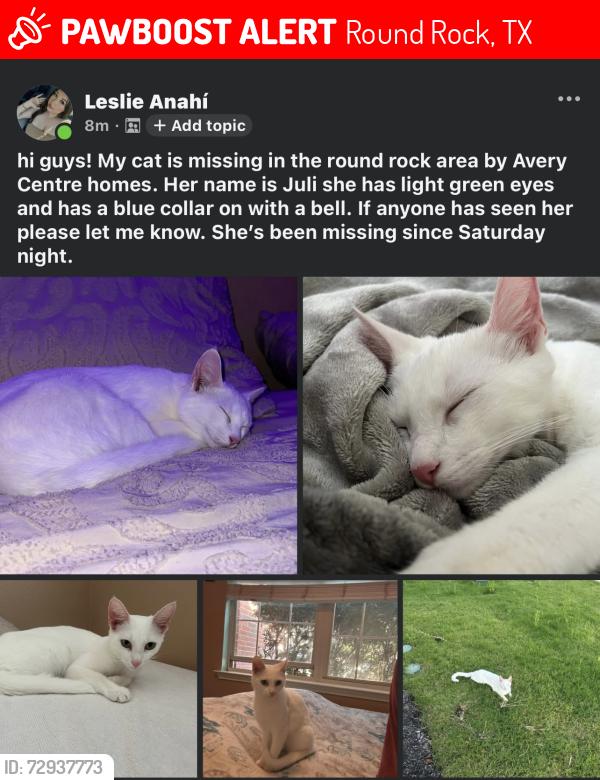 Lost Female Cat last seen N.A.W Grimes Blvd, Round Rock, TX 78665