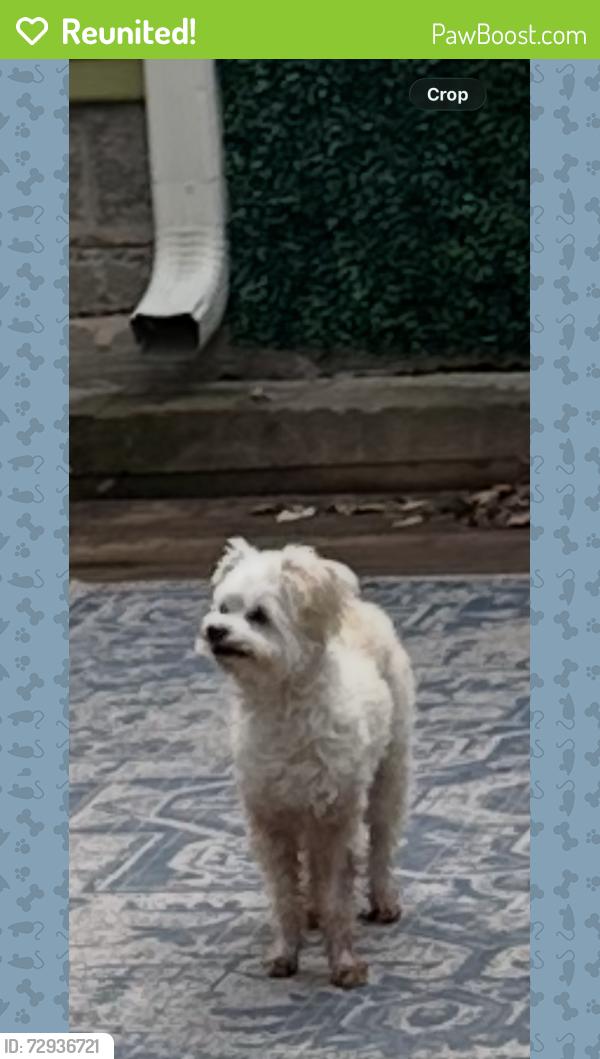 Reunited Unknown Dog last seen 20th & el, Oklahoma City, OK 73106