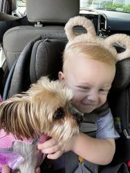 Lost Female Dog last seen New England Ave/Richmond Circle , Boca Raton, FL 33434