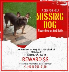 Lost Male Dog last seen Milledge st, East Point, GA 30344