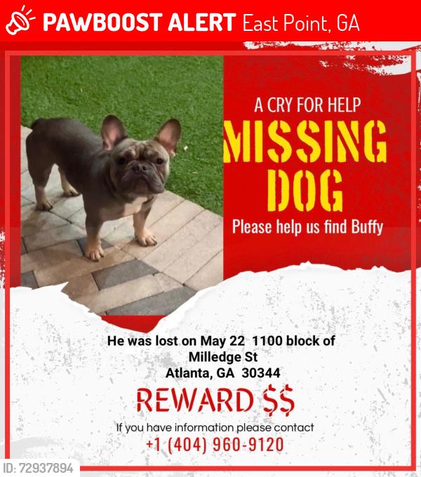 Lost Male Dog last seen Milledge st, East Point, GA 30344