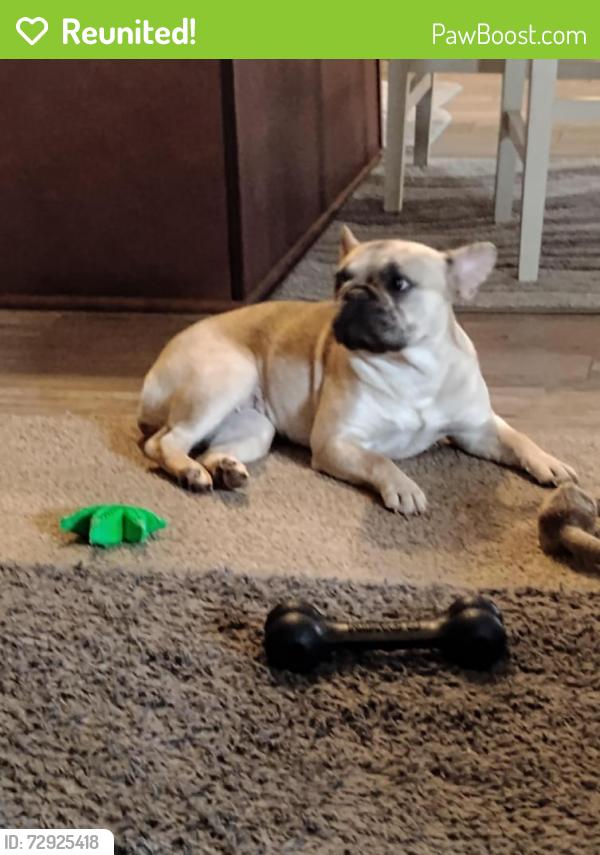 Reunited Female Dog last seen Constellation/Good Samaritan, Fort Collins, CO 80525