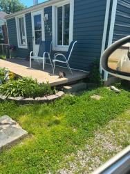 Reunited Female Cat last seen Rondowa ave, Dayton, OH 45404