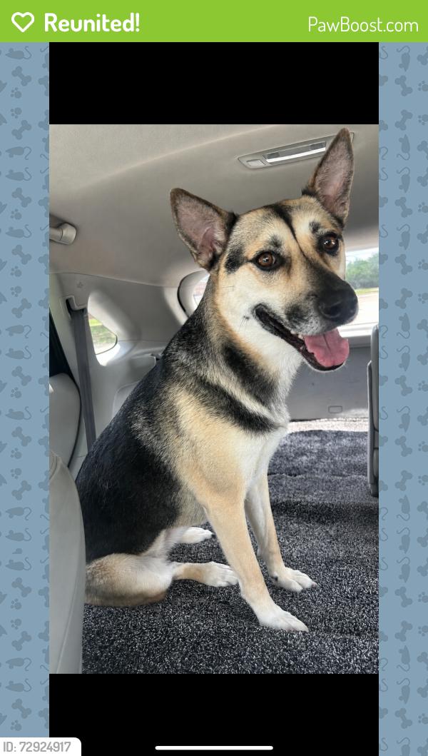 Reunited Unknown Dog last seen Was brought to the fire station on University , College Station, TX 77840