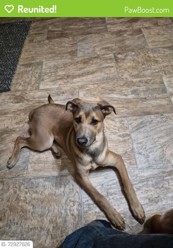 Reunited Female Dog last seen Hwy 49, Macon, GA 31213