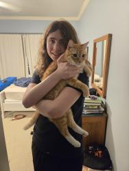 Reunited Male Cat last seen Nottingham and Wakeforest, Houston, TX 77005