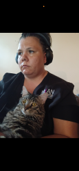 Lost Male Cat last seen Avenida cabaleros and Francis dr, Palm Springs, CA 92262