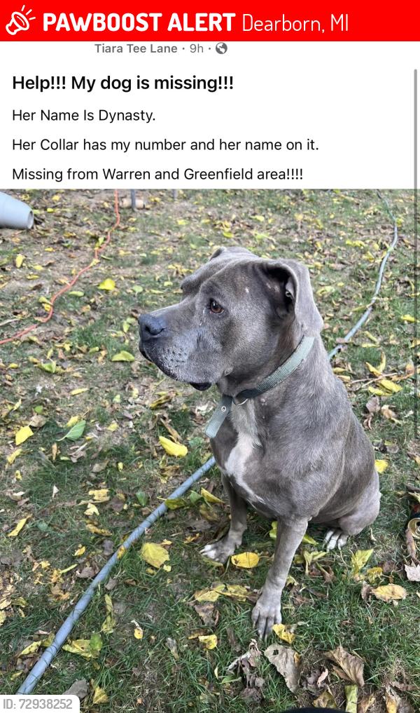 Lost Female Dog last seen Warren and greenfield area, Dearborn, MI 48126