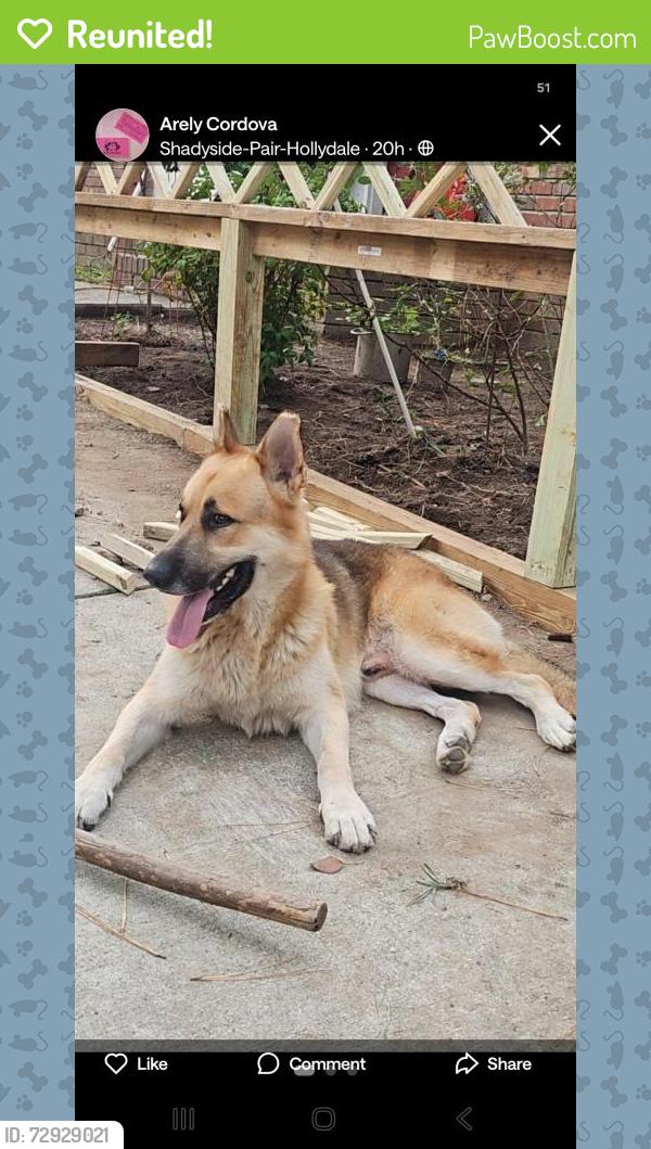 Reunited Male Dog last seen Near Greenhill Dr, Marietta, GA 30008